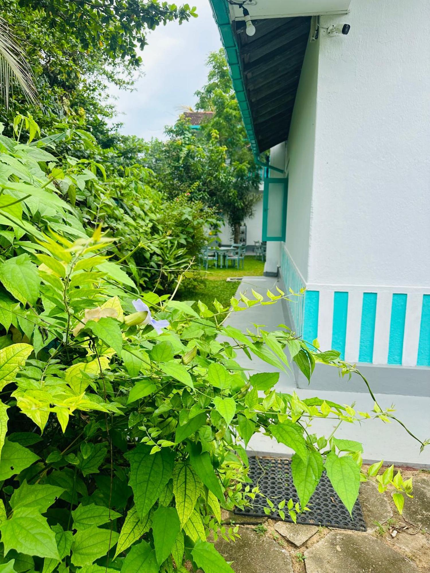 Villa 47 Хиккадува Экстерьер фото